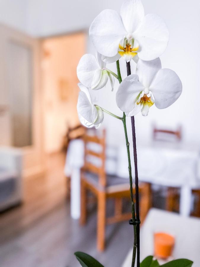 Myhouse Inn Marche - Affitti Brevi Italia Turin Exterior photo